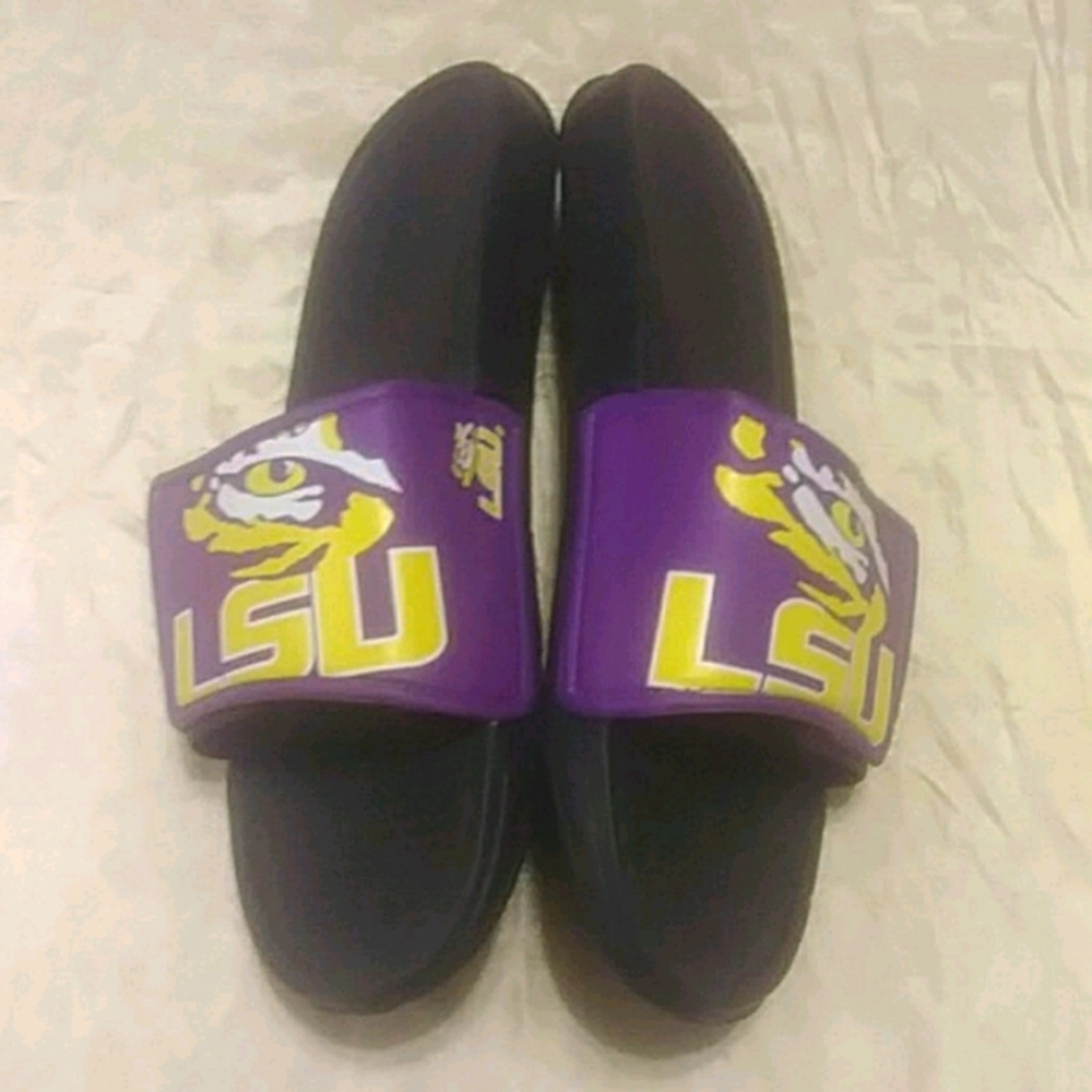 LSU Slides - Picture 2 of 5